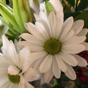 Meet your Posher, Lynn